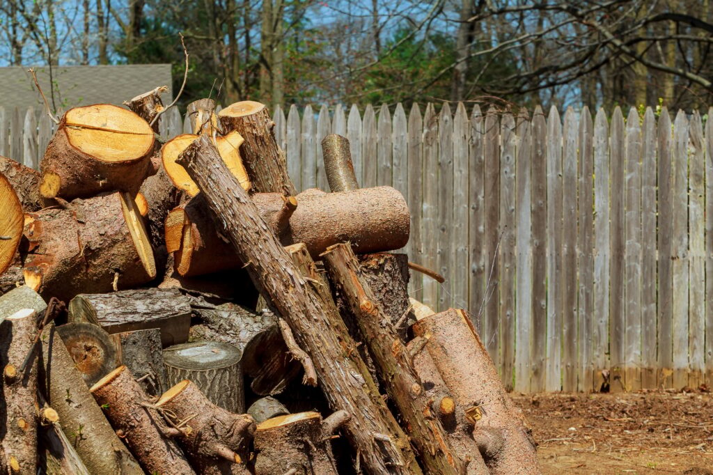 Lumberjack worker with chainsaw cutting log of wood tree trimming