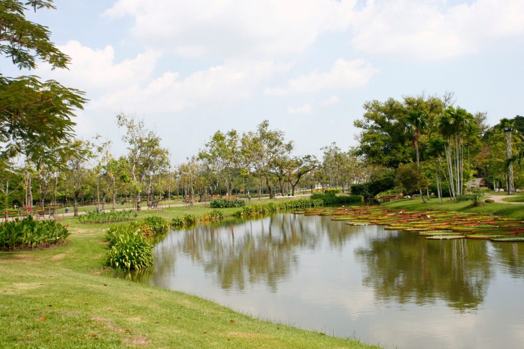 Outdoor landscape garden with pond