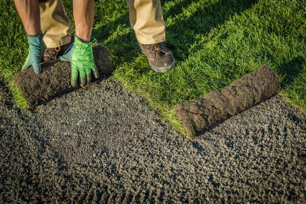 Residential Lawn Grass Installation From Rolls